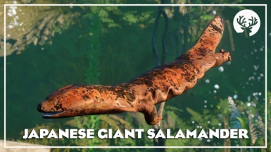Japanese Giant Salamander - New Species (1.16)