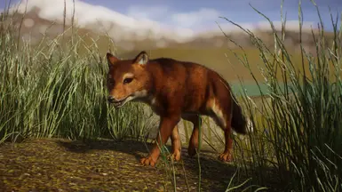 Warrah or Falklands Wolf - New Species (1.10) at Planet Zoo Nexus ...