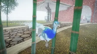 Purewinters piebald peafowl (file name original indian blue)