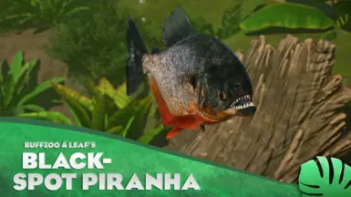 Black-Spotted Piranha - New Species (1.13)