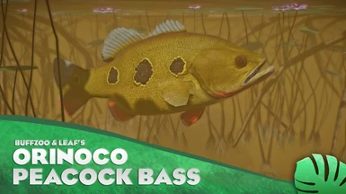 Orinoco Peacock Bass - New Species (1.13)