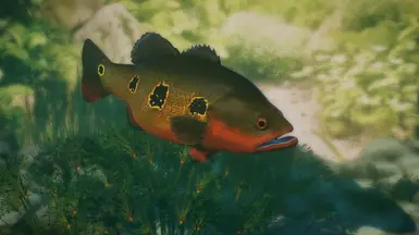 Red Peacock Bass - New Species (1.13) at Planet Zoo Nexus - Mods and ...