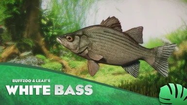 White Bass - New Species (1.13)