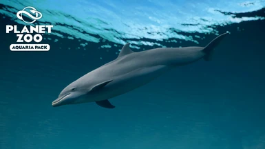 Bottlenose Dolphin - Aquaria Pack New Species (1.14)