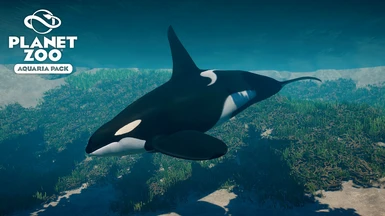 Orca (Killer Whale) - Aquaria Pack New Species (1.13)