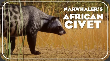 African Civet - New Species (1.14)