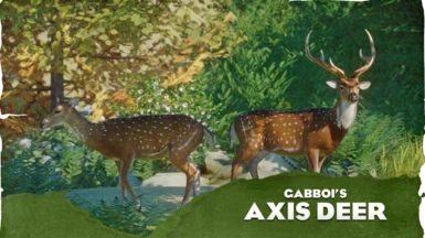 Chital (Axis Deer) - New Species (1.15)