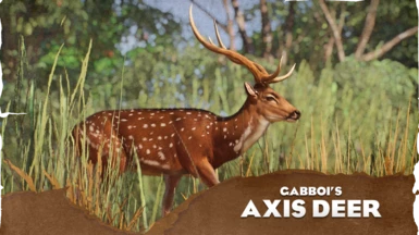 Chital (Axis Deer) - New Species (1.17)