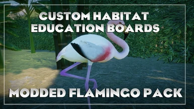 Custom Education boards - Flamingo edition