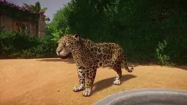 Jaguar Remaster (UPDATE 1.5) at Planet Zoo Nexus - Mods and community