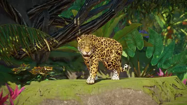 planet zoo premium edition