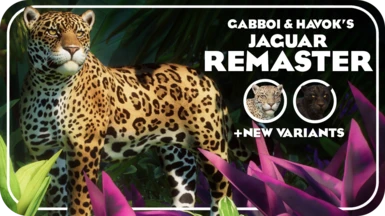 Jaguar Remaster and New Variants (1.16)