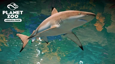 Blacktip Reef Shark - Aquaria Pack New Species (1.16)