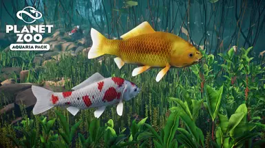 Koi Fish - Aquaria Pack New Species (1.16) at Planet Zoo Nexus - Mods ...