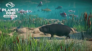 Koi Fish - Aquaria Pack New Species (1.13) at Planet Zoo Nexus