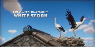 (1.9) New Species - White Stork