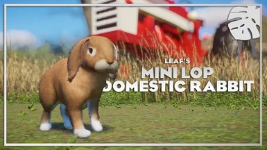 Mini Lop - Domesticated Rabbit - New Species (1.9)