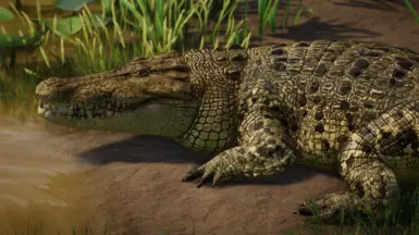 Yellow green variant