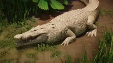 Albino variant