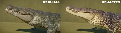 Head comparison