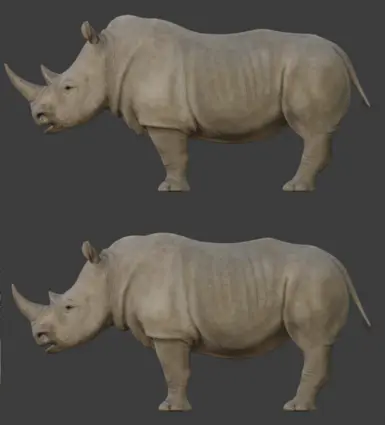 Female (old on top, new on bottom)