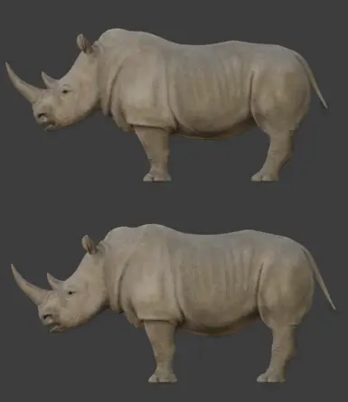 Male (old on top, new on bottom)