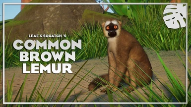 Common Brown Lemur - New Species (1.10)