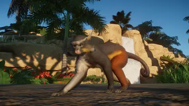 Wolf's Guenon Monkey (Updated for 1.4)