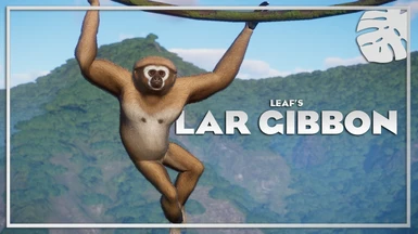Lar Gibbon - New Species (1.10)