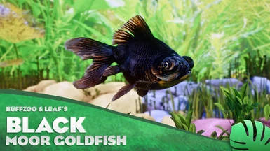 Black Moor Goldfish - New Species (1.13)