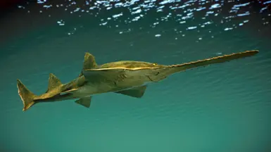 Green Sawfish - New Species (1.13) At Planet Zoo Nexus - Mods And Community