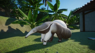 Albino Giant Anteaters (Updated for 1.6)
