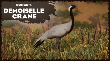 (1.16) Demoiselle Crane - New Species