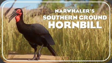 Southern Ground Hornbill - New Species (1.14)
