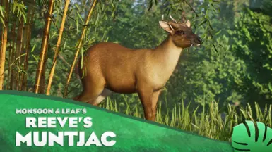 Reeves's Muntjac - New Species (1.14)