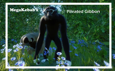 Pileated Gibbon NEW SPECIES 1.10