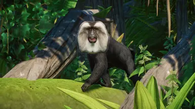 Lion-Tailed Macaque - New Species (1.13) at Planet Zoo Nexus - Mods and ...