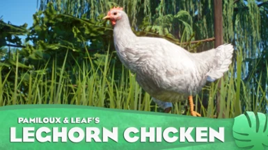 Domestic Chicken - Leghorn - New Species (1.16)