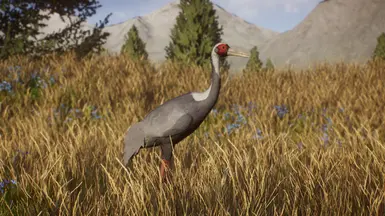 White-Naped Crane - New Species (1.13) at Planet Zoo Nexus - Mods and ...