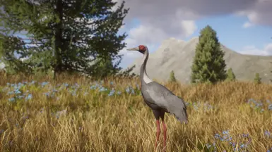 White-Naped Crane - New Species (1.13) at Planet Zoo Nexus - Mods and ...