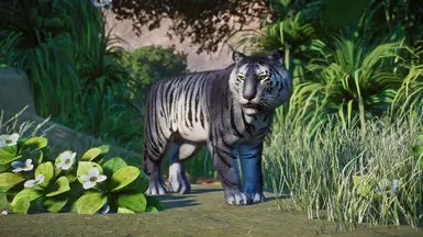 Maltese Tiger - New Species (1.12) at Planet Zoo Nexus - Mods and community