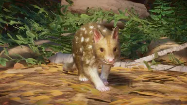 Eastern Quoll - New Species (1.10) at Planet Zoo Nexus - Mods and community