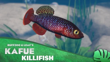 Kafue Killifish - New Species (1.13)