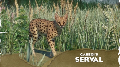 Serval - New Species (1.15)