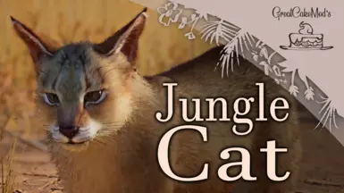 Jungle Cat - New Species (1.18)