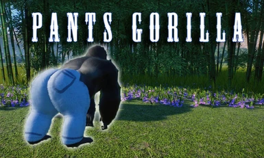 Pants Gorilla