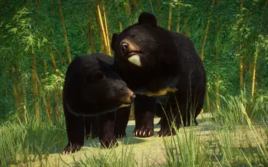 Formosan Black Bear Remaster (1.16) at Planet Zoo Nexus - Mods and ...