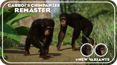 Chimpanzee Remaster and New Variants (1.12 ACSE)