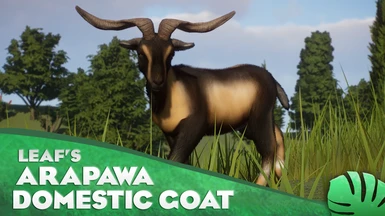 Arapawa - Domestic Goat - New Species (1.12)