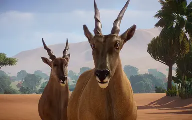 Zoo Tycoon 3: Sable Antelope 